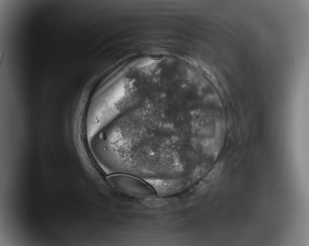 X0000087600145200705181243