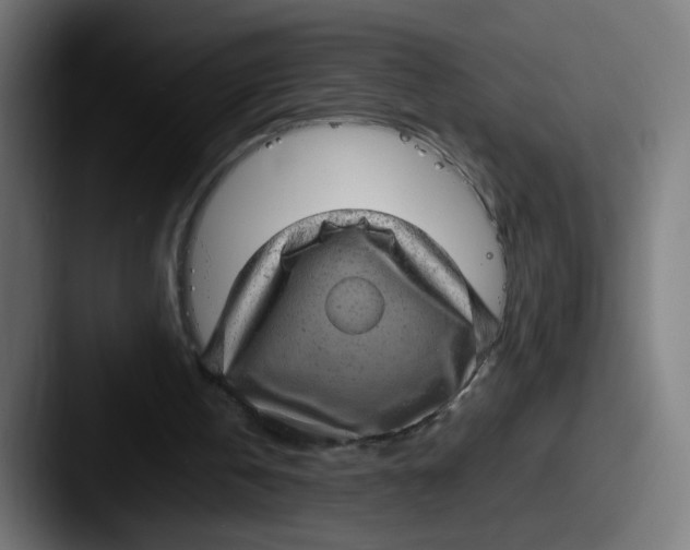 X0000087600146200705181243