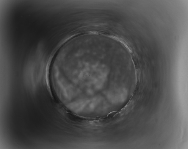 X0000087600147200705181243