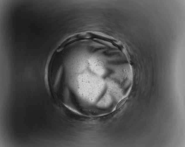 X0000087600148200705181243