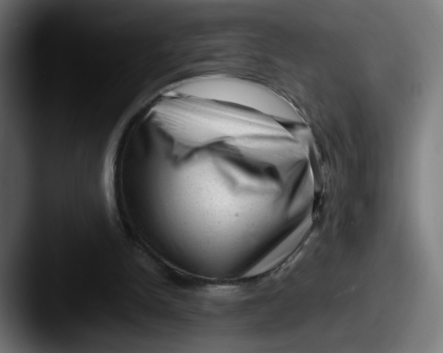 X0000087600150200705181243