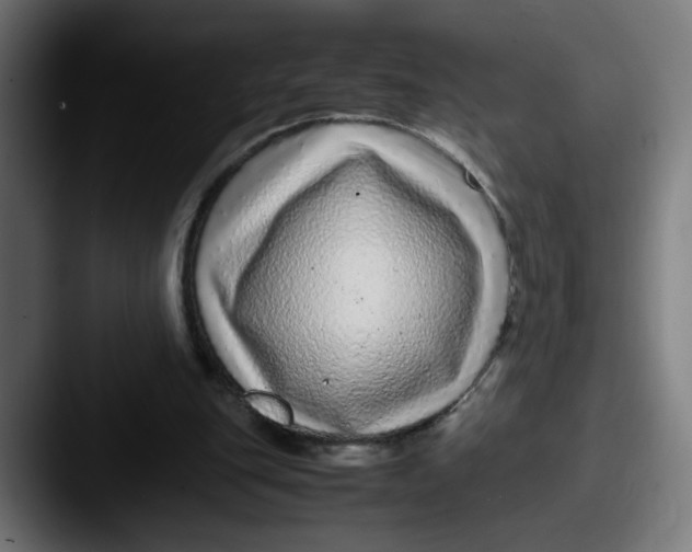 X0000087600151200705181243