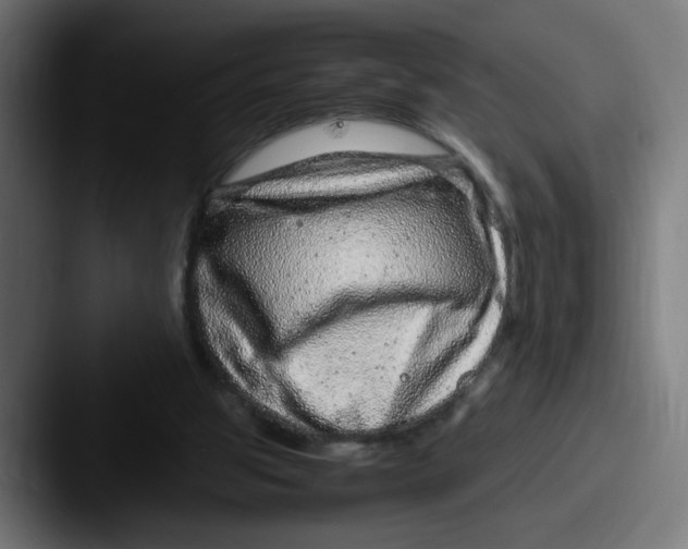 X0000087600153200705181243