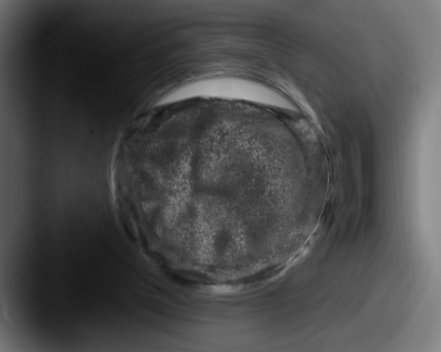 X0000087600154200705181243