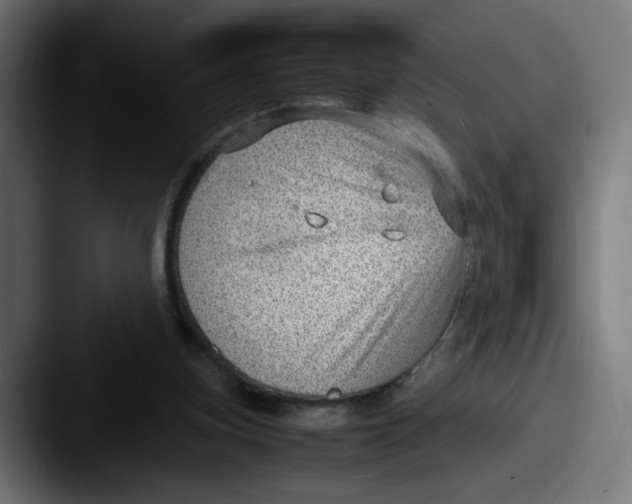 X0000087600155200705181243