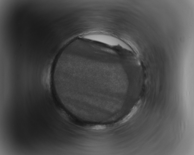 X0000087600156200705181243