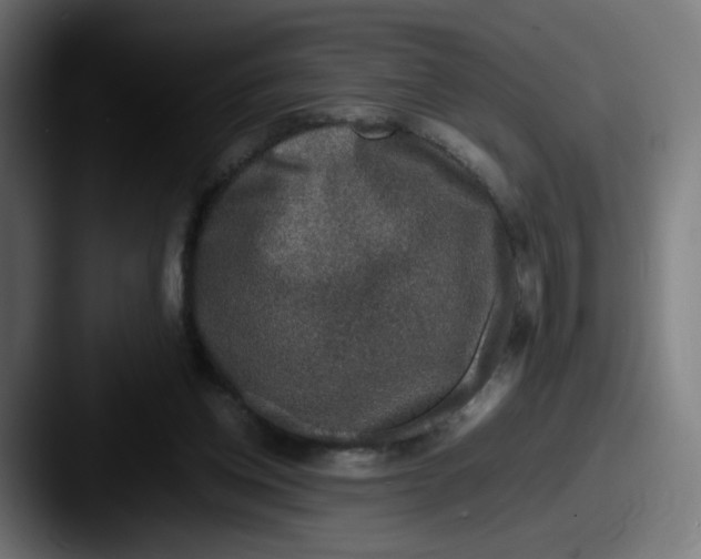 X0000087600158200705181243