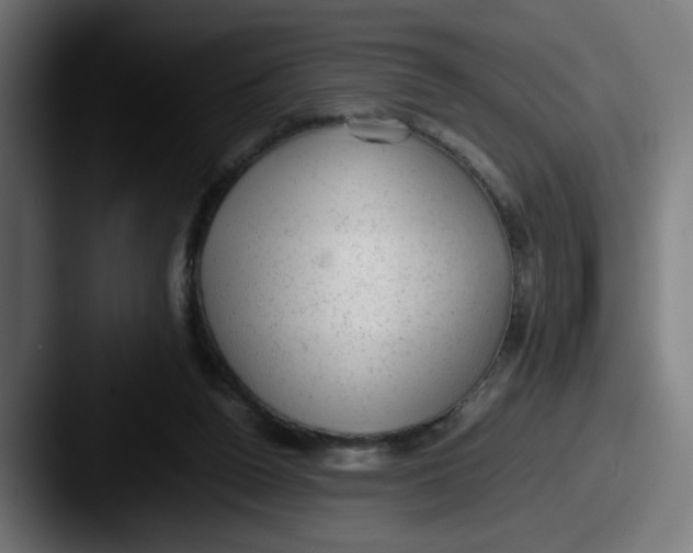 X0000087600160200705181243