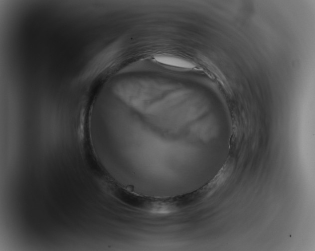 X0000087600163200705181243