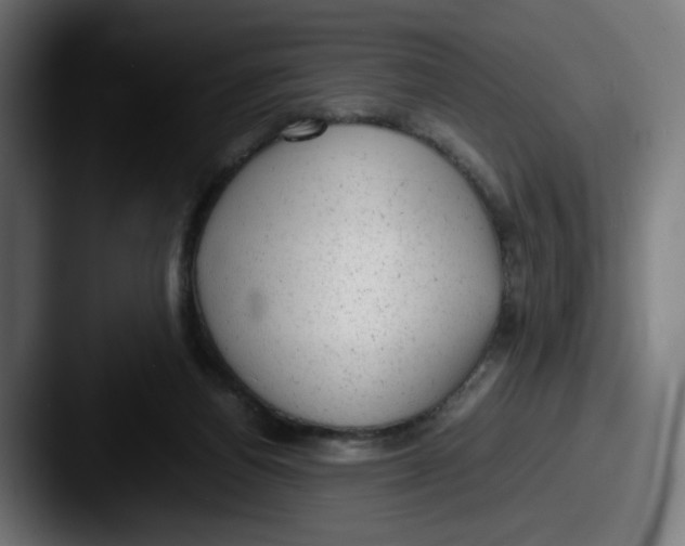 X0000087600164200705181243