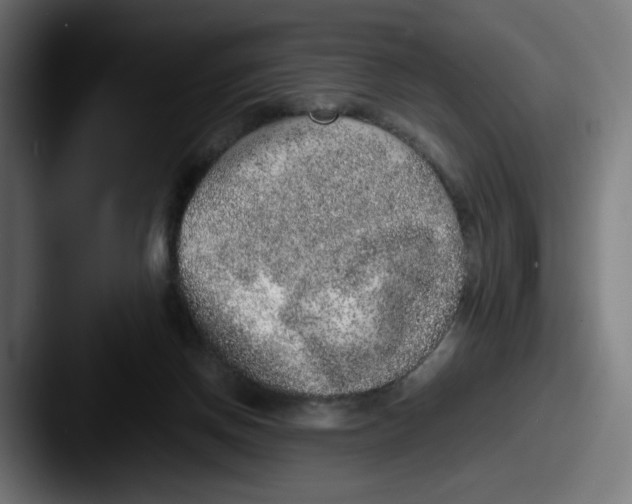 X0000087600166200705181243