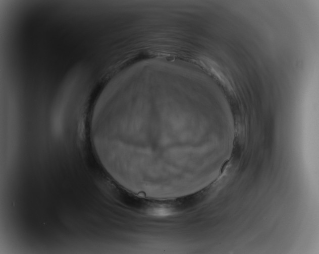 X0000087600167200705181243