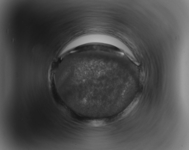 X0000087600168200705181243