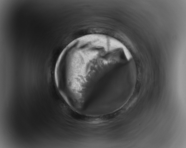 X0000087600169200705181243