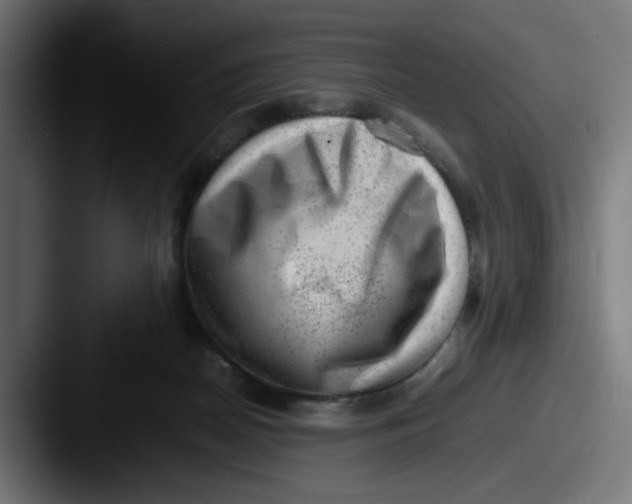 X0000087600170200705181243