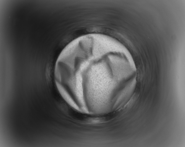 X0000087600171200705181243