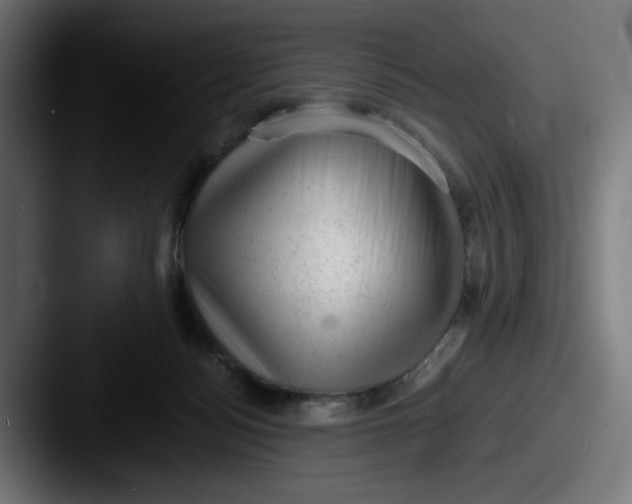 X0000087600172200705181244