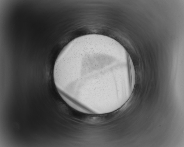 X0000087600174200705181244