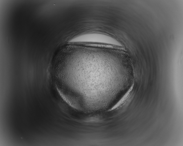 X0000087600175200705181244