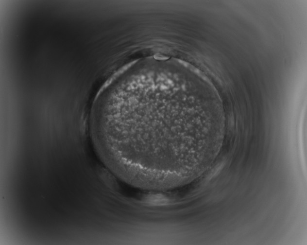 X0000087600177200705181244