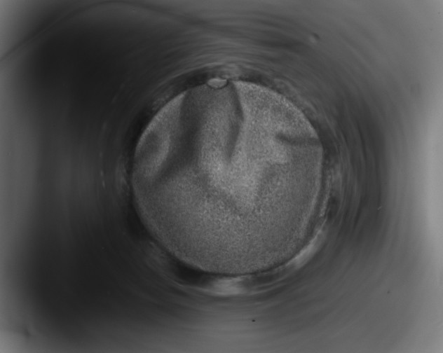 X0000087600178200705181244