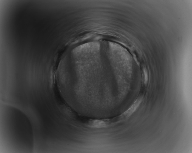 X0000087600180200705181244