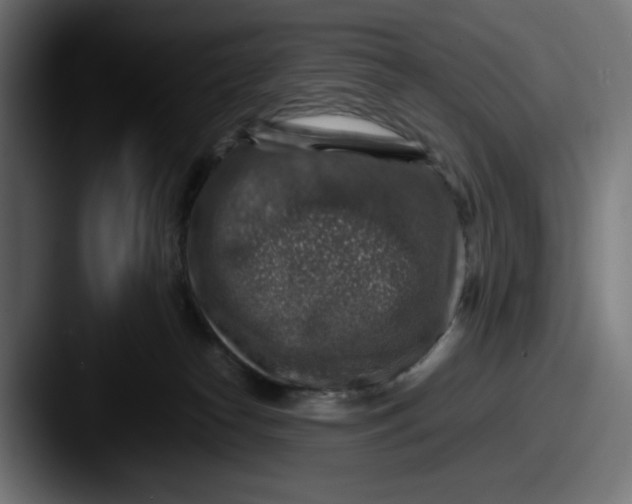 X0000087600182200705181244