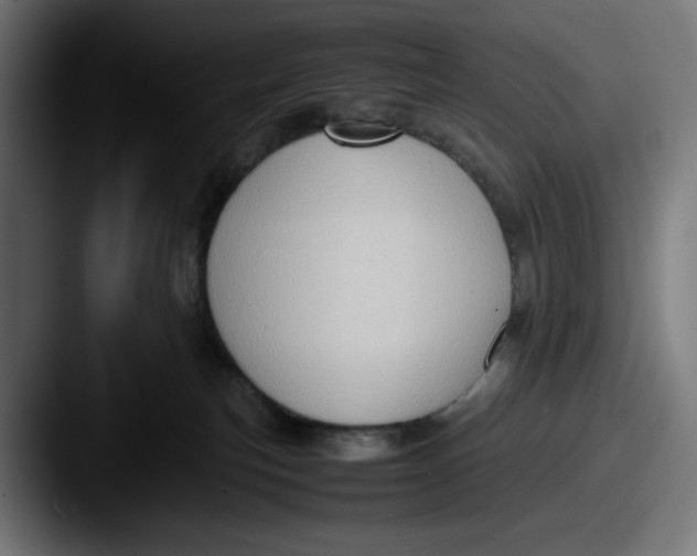 X0000087600183200705181244