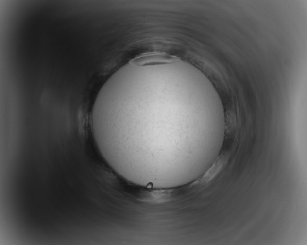 X0000087600184200705181244