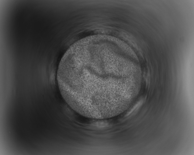 X0000087600185200705181244