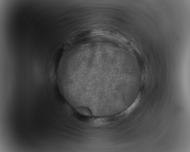 X0000087600186200705181244