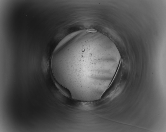 X0000087600188200705181244