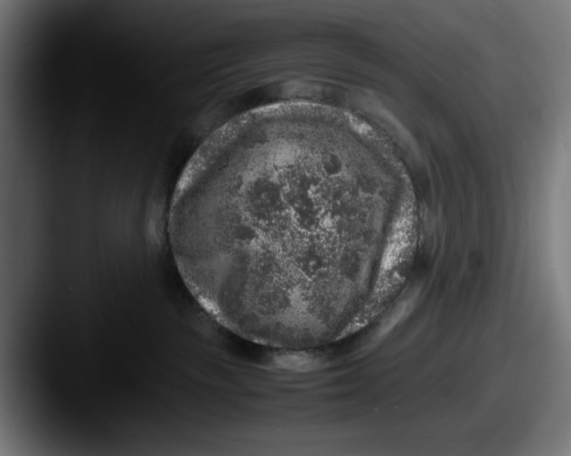 X0000087600189200705181244