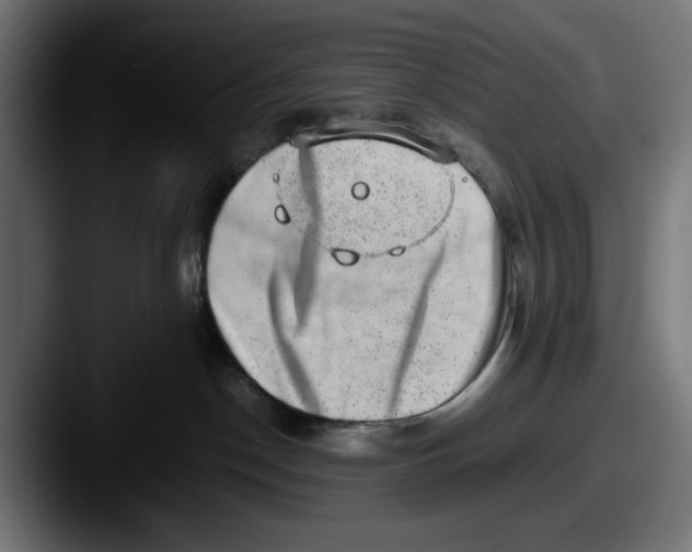 X0000087600190200705181244