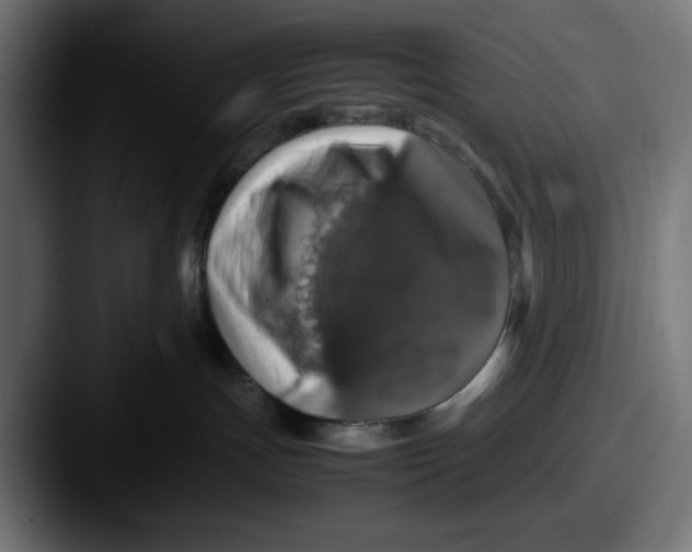 X0000087600191200705181244