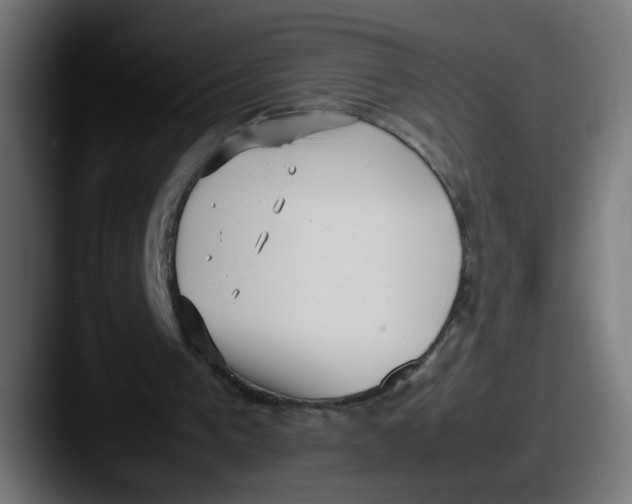 X0000087600193200705181243