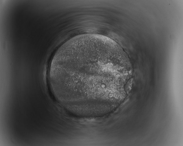 X0000087600194200705181243