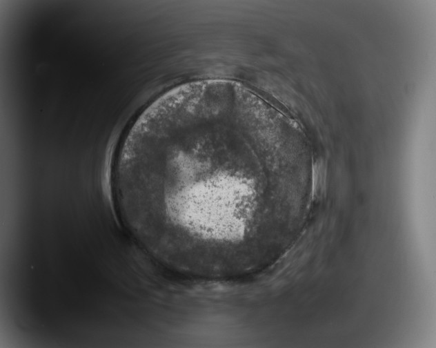 X0000087600195200705181243