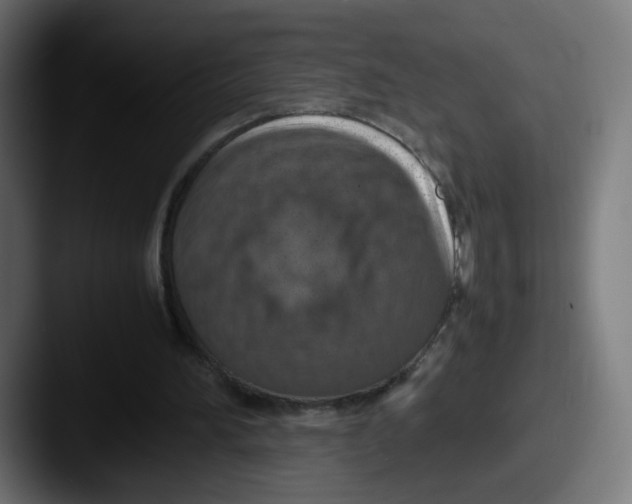 X0000087600196200705181243