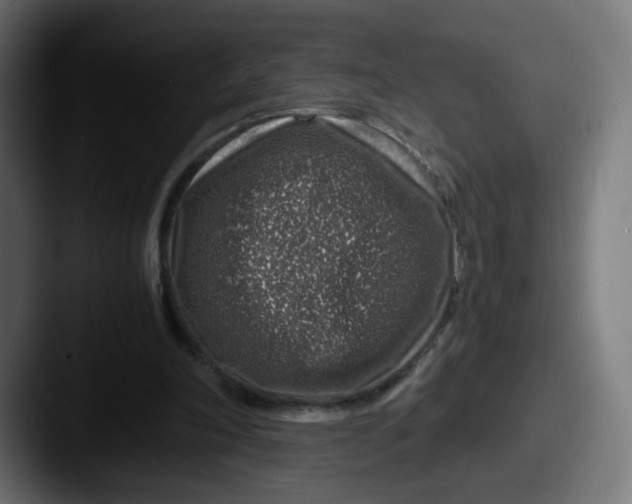 X0000087600198200705181243