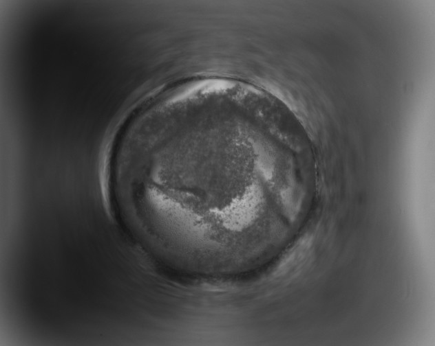 X0000087600199200705181243