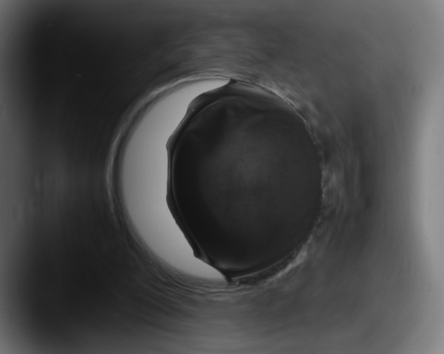 X0000087600200200705181243