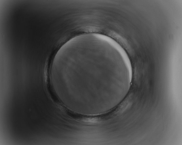 X0000087600202200705181243