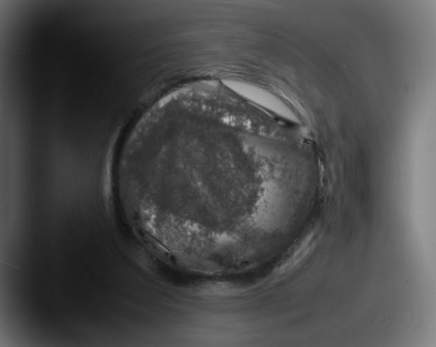 X0000087600203200705181243