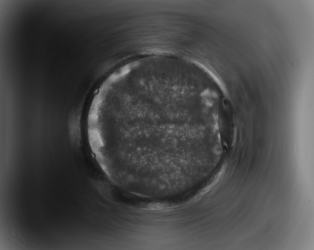 X0000087600204200705181243