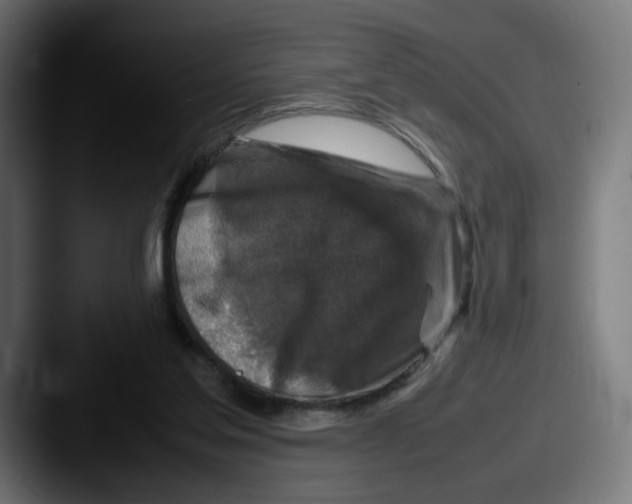 X0000087600205200705181243