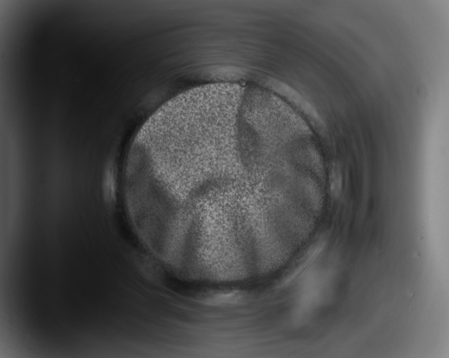 X0000087600206200705181243