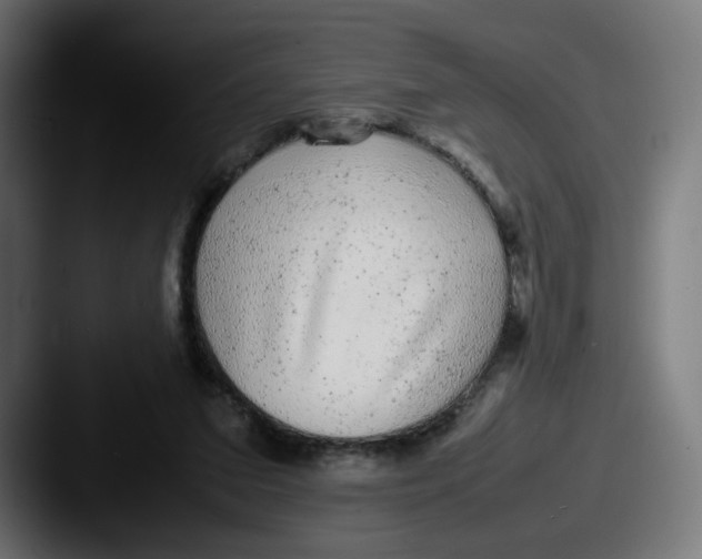 X0000087600207200705181243