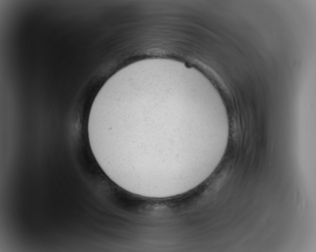 X0000087600208200705181243