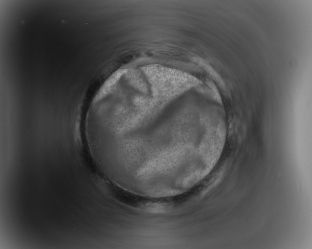 X0000087600209200705181243